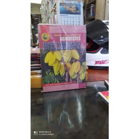 

agribisnis belimbing budidaya belimbing original