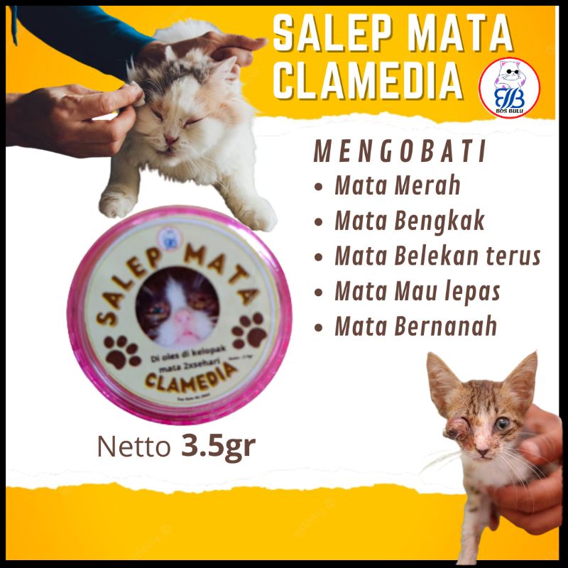 salep mata clamedia merah bengkak bernanah kucing 3.5gram