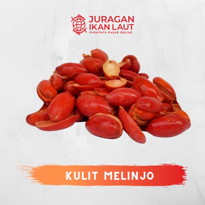 

Kulit Melinjo Segar Berkualitas - 250 Gram