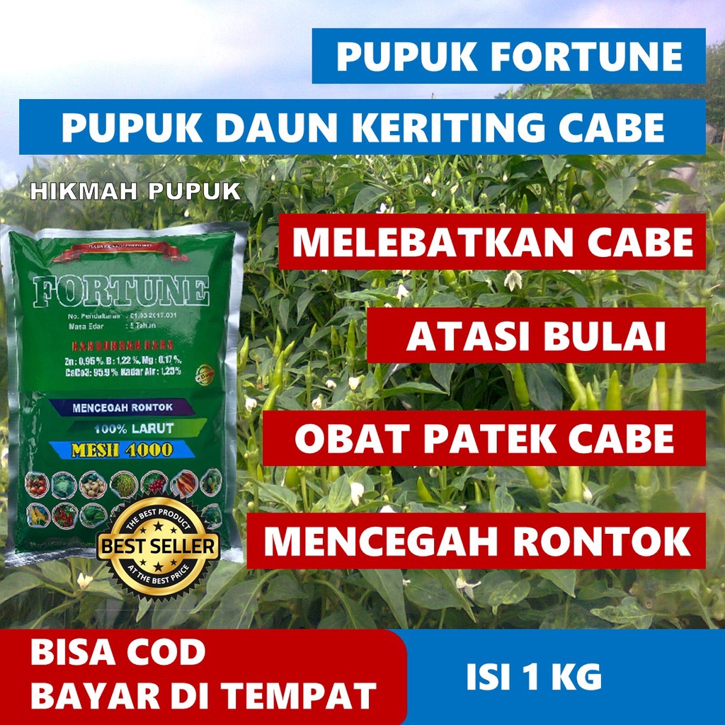FORTUNE Flour Calcium Fertilizer 1 KG Pupuk Tepung Tanaman Cabai Obat Penyakit Kuning Keriting Ronto