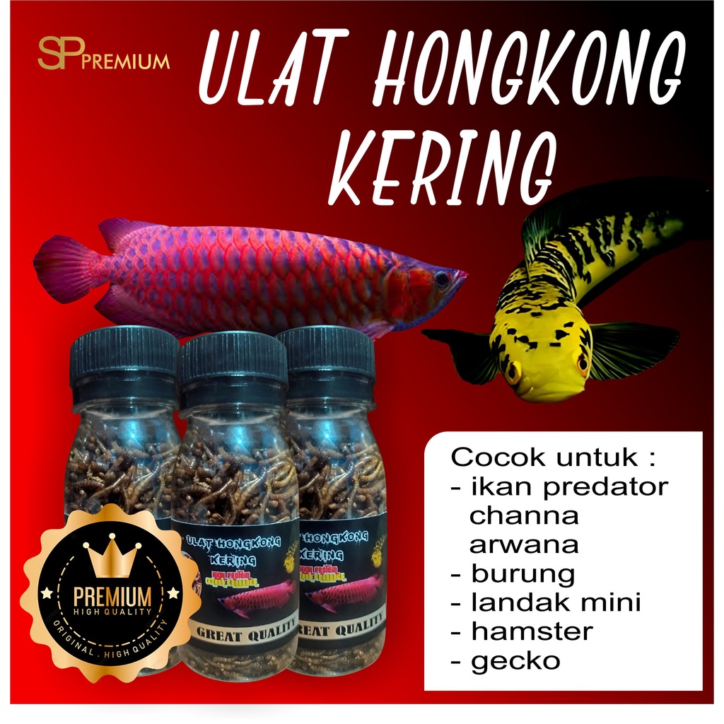 ULAT HONGKONG KERING I Pakan ikan channa arwana hamster gecko burung dan reptil