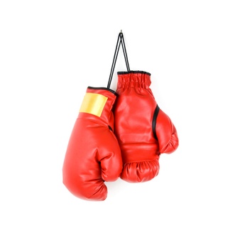 IKILOSHOP Dewasa Sarung Tinju Karate Boxing Hand Protector Glove Pelindung Tangan