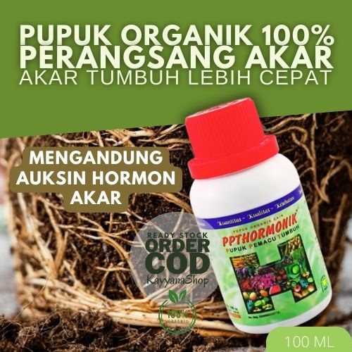 Jual Pupuk Perangsang Akar Nutrisi Dan Perangsang Akar Tanaman Stek