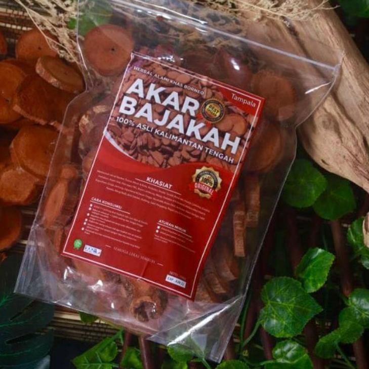 

T56✽ Akar Kayu Bajakah Tampala Merah Super Siap Seduh Obat Tumor dan Kanker (100% ORIGINAL) Asli Kalimantan Recommended