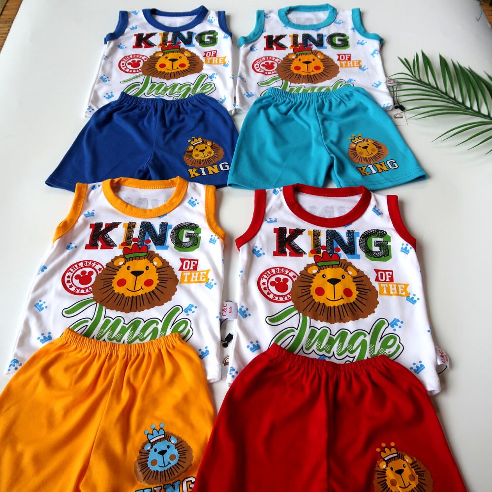 Setelan Kaos Bayi Laki-Laki Import Premium 9-12 bulan