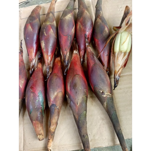 

buah pining bawang golobe almahera muda per 500 grm