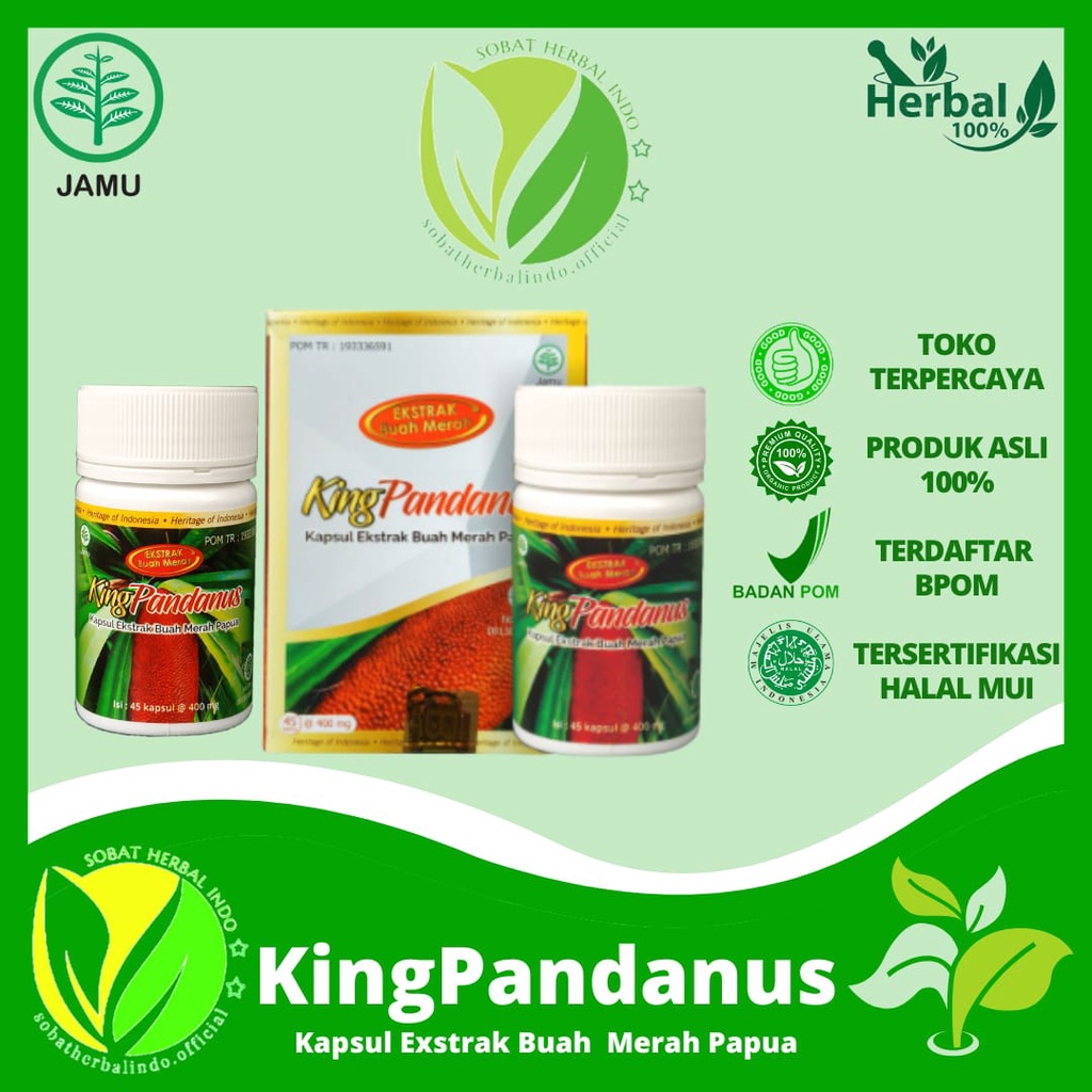 KING PANDANUS