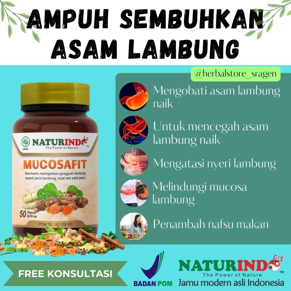 Obat Asam Lambung Obat Herbal Asam Lambung Obat Maag Obat Magh Obat Maag Kronis Ampuh Obat Asam Lamb