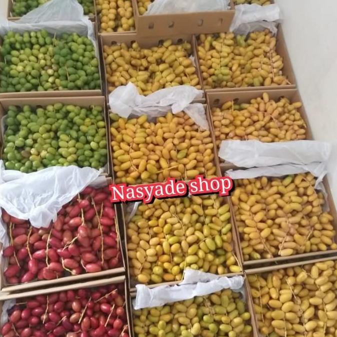 

READY STOK KURMA MUDA SEGAAAR/ FRESH BUKAN FROZEN BEST SELLER RER69464S