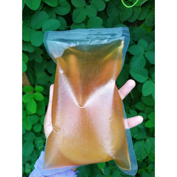 

bibit scoby / bibit kombucha D9cm terbaik (untuk 3 liter)