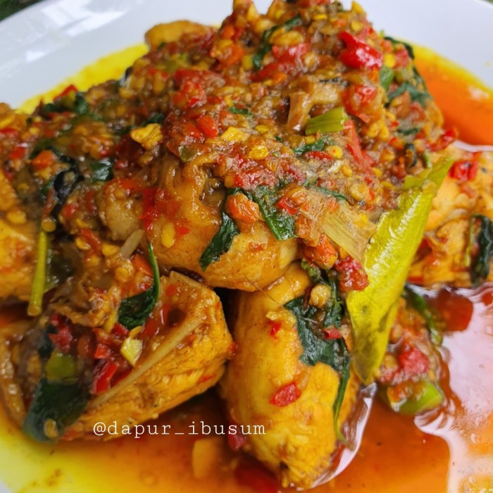 

Ayam Woku Txs0X-24