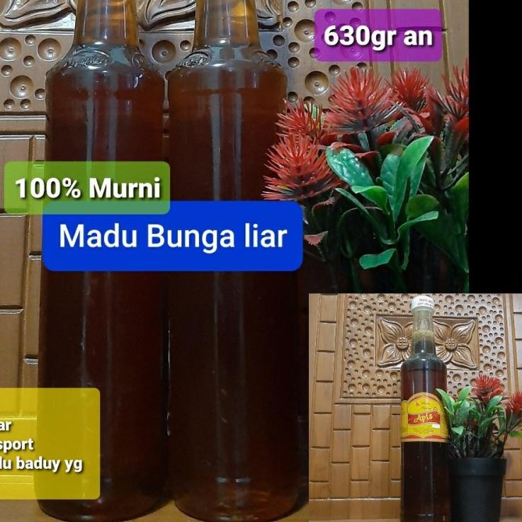 

COD✔️MADU ASLI BUNGA LIAR 630gr|SQ6
