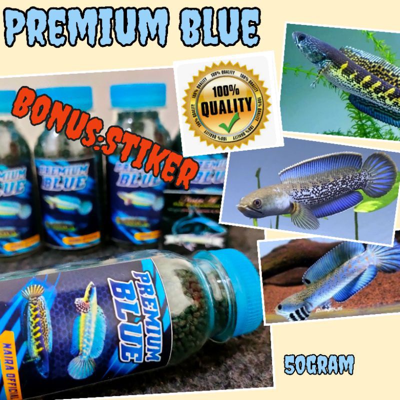 

premium blue59gram