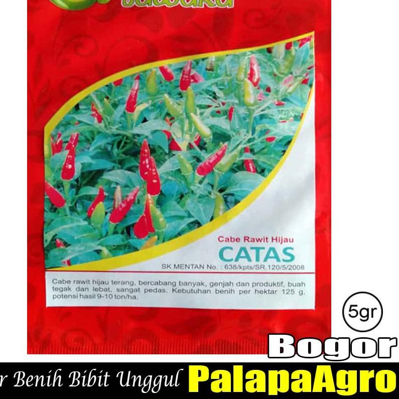 Stok Baru cabe rawit pedas - benih cabe rawit hijau catas 5gram - bibit cabe rawit super unggul