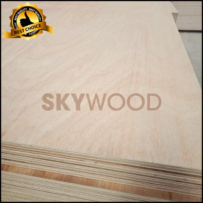 Triplek / Plywood 18Mm