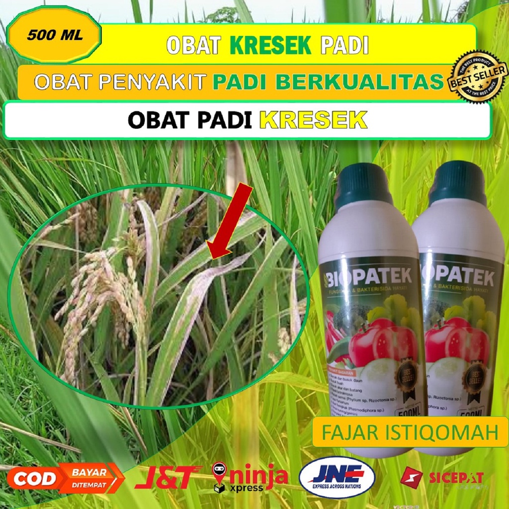PROMO BIOPATEK fungisida hayati obat kresek padi (500 ML) - obat kresek daun padi - obat kresek padi
