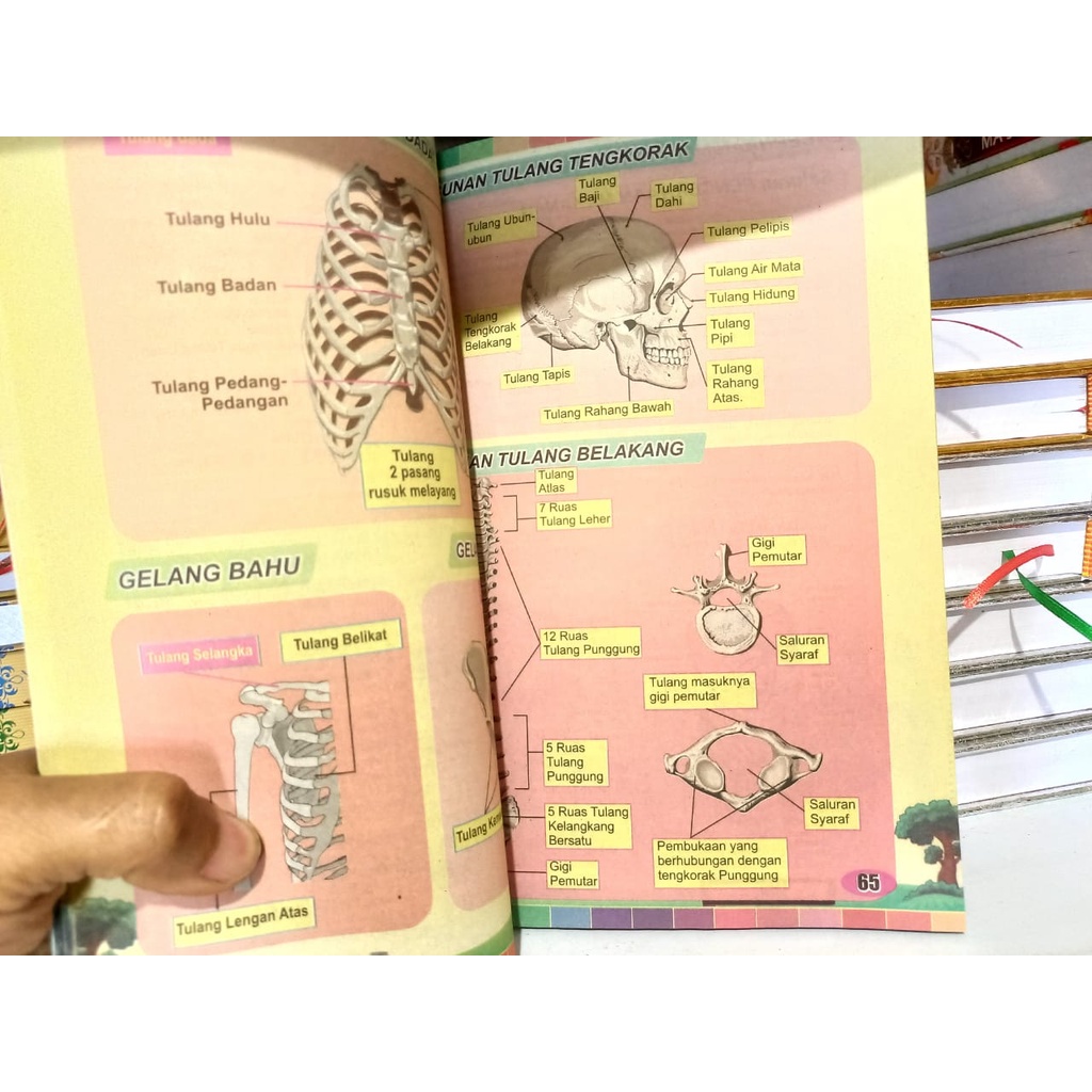 Buku Asah Otak Anak Hebat Calistung CM