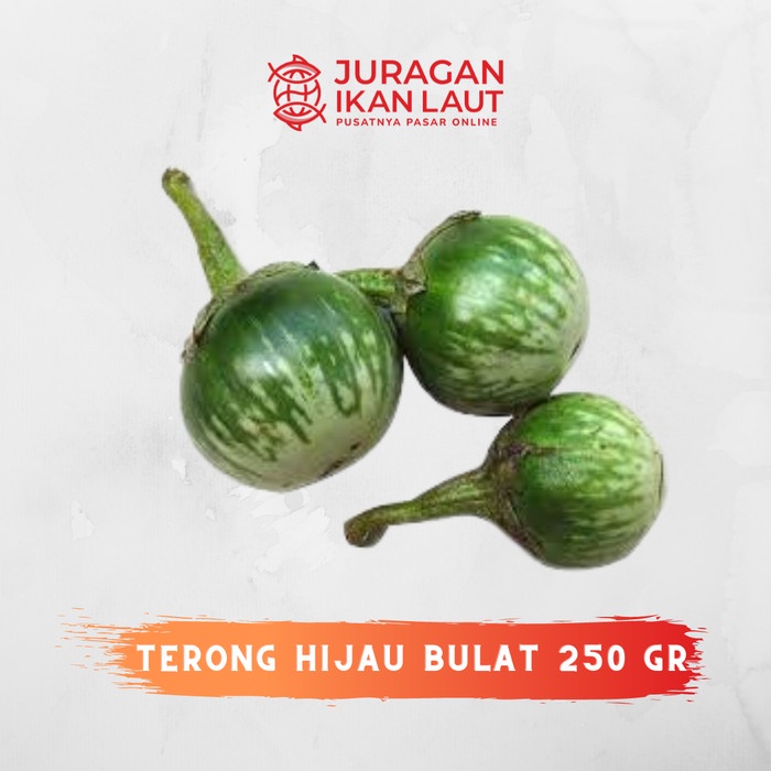 

Terong Hijau Bulat Segar Berkualitas - 250 Gram