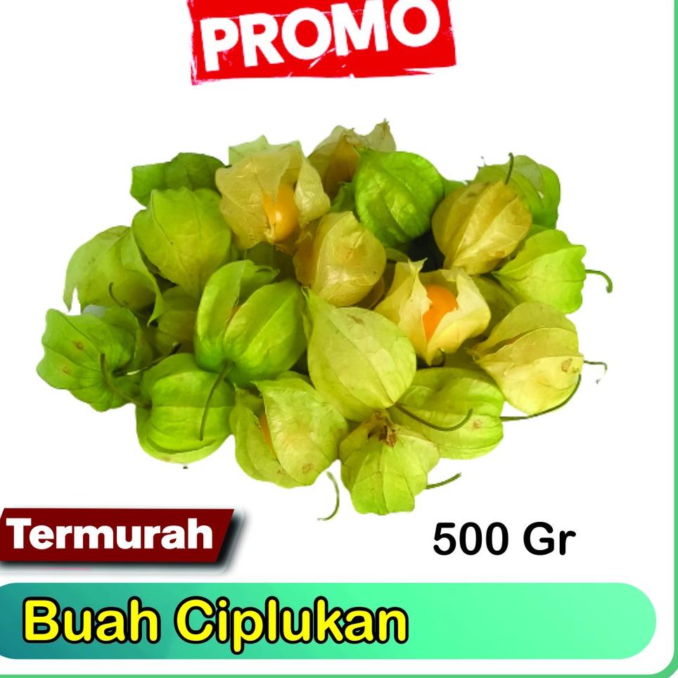 

Sale.. Ciplukan Fresh Murah 500gram -Cecenet - Golden berry 09