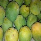 

mangga harummanis fres 1 kg