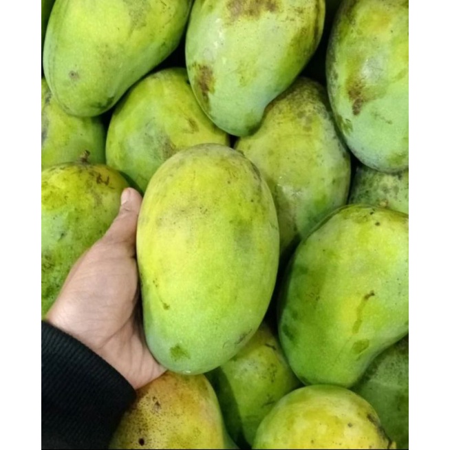 

Mangga Muda Fresh 1Kg