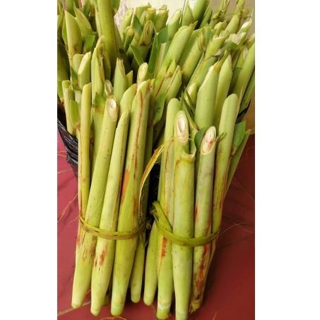 

New-O39A♥| Terubuk / Tebu telur Murah Berat1Kg premium