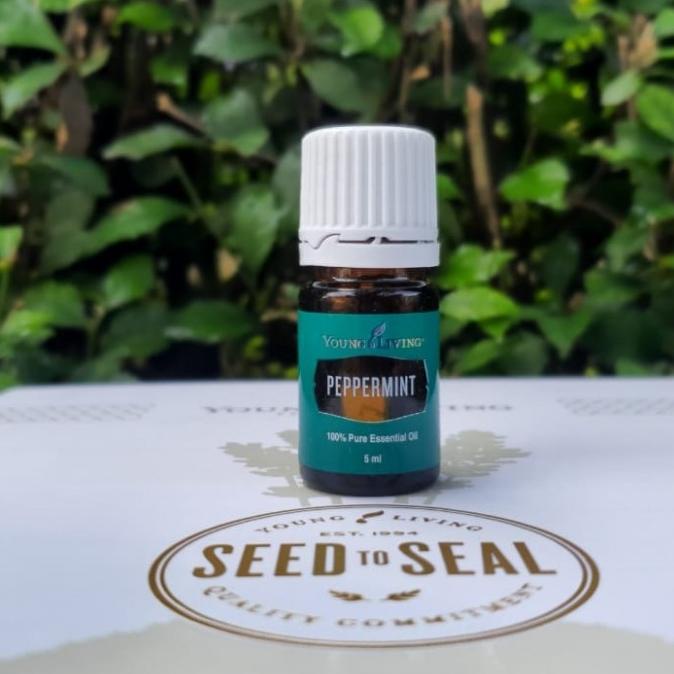 Peppermint Essential Oil Young Living Sealed (5Ml) Osinaamra