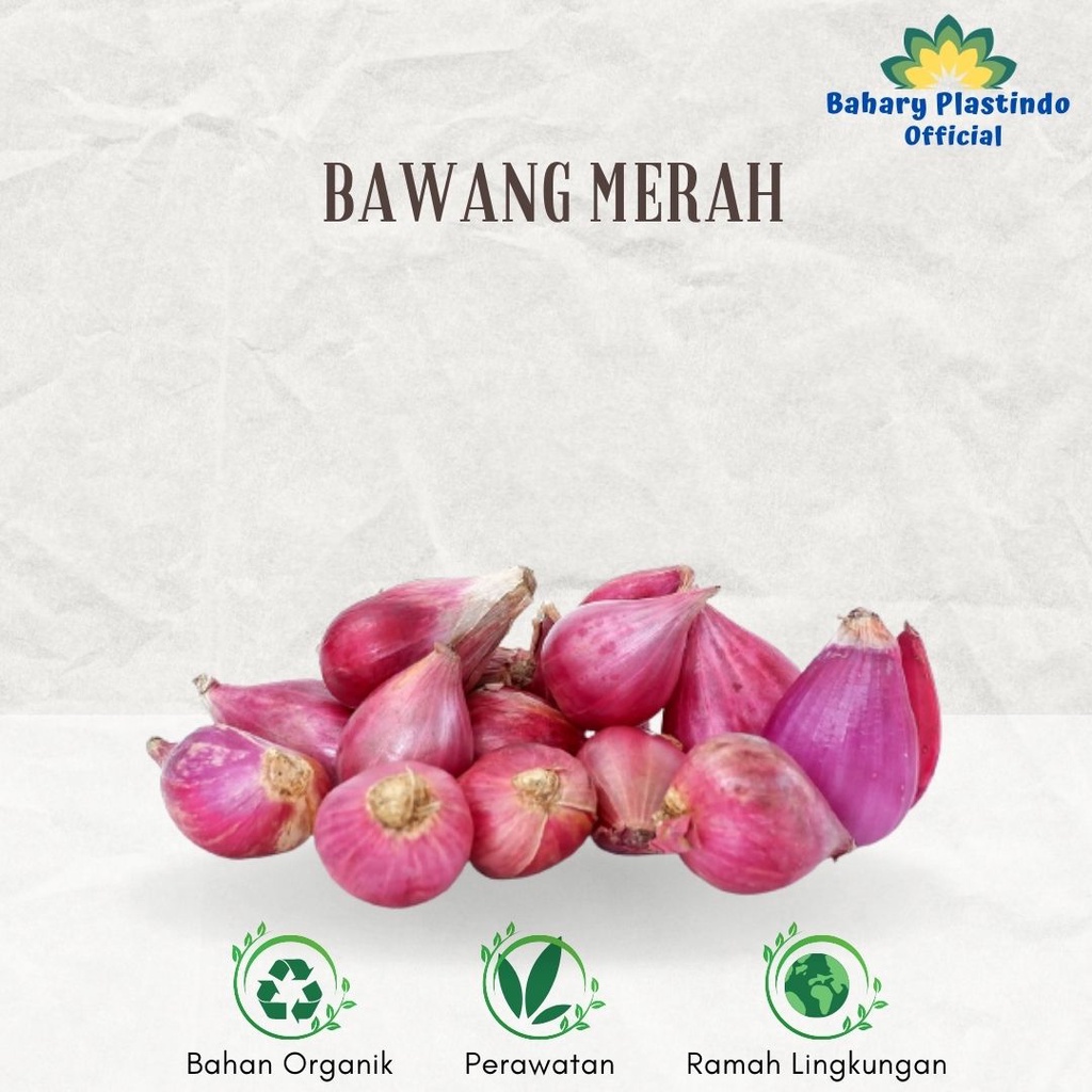 

Bawang Merah Lokal Kering Bumbu Memasak 500 Gram