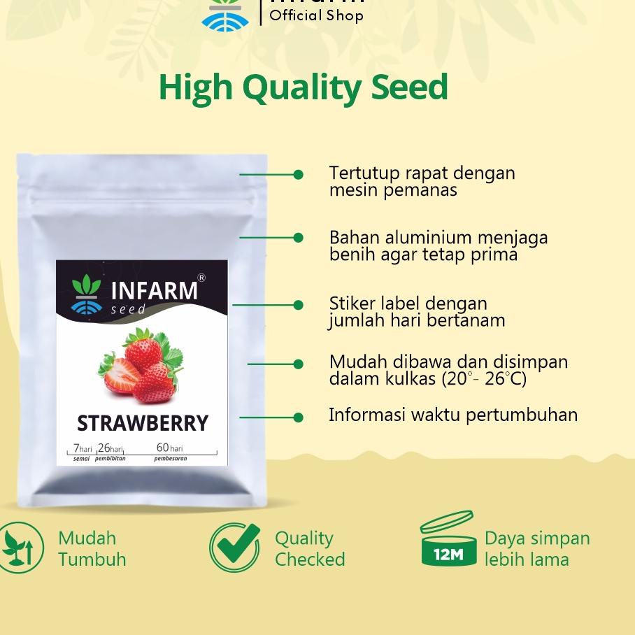 INFARM - Benih Bibit Biji Super Buah Strawberry Stroberi (Red Giant Fragaria Ananassa)