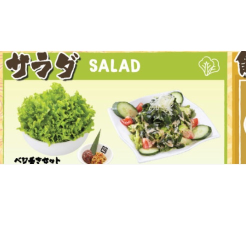 

Salad Gyukaku