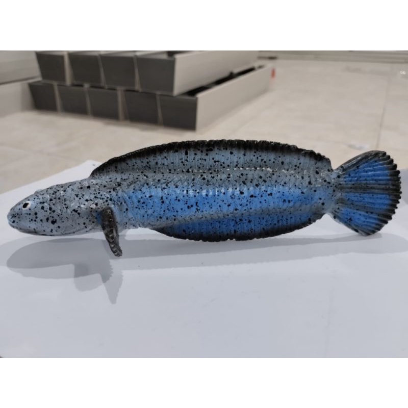 PATUNG CHANA / REPLIKA CHANA BLUE PULCHRA