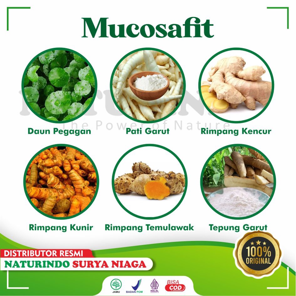 Herjunot Sport Obat Usus Buntu Radang Usus Herbal Usus Buntu Ampuh Infeksi Usus Radang Usus Sakit