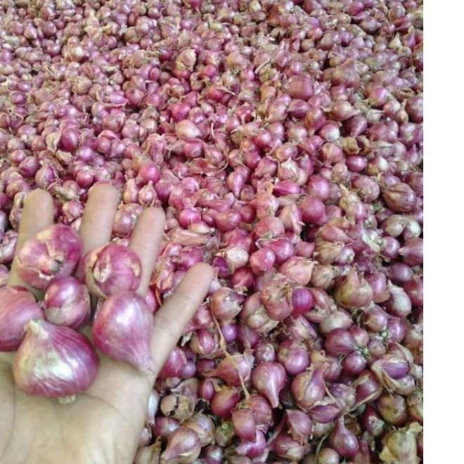 

EXCLUSIVE!bawang merah Probolinggo 1kg|KD9