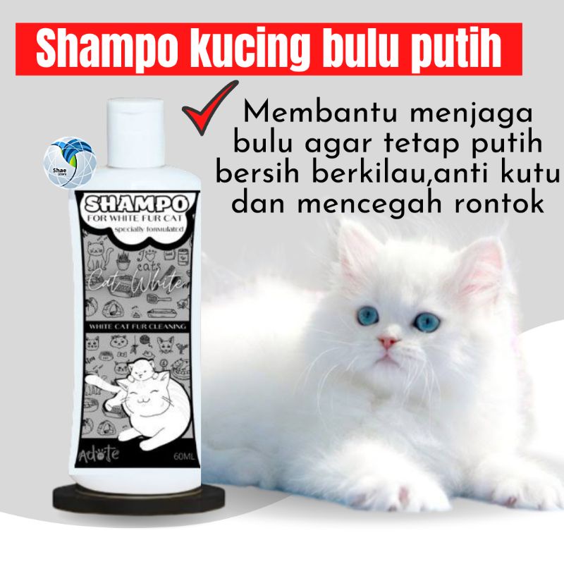 Shampo Kucing bulu Putih Persia