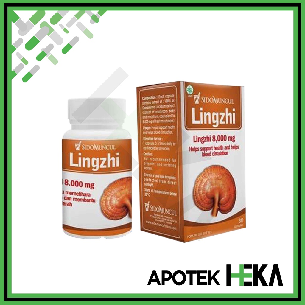 Lingzhi 8000 mg isi 30 Kapsul - Herbal Membantu Sirkulasi Darah (SEMARANG)