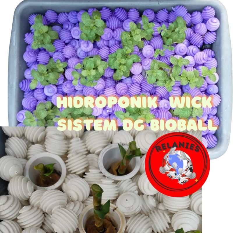 HIDROPONIK SET SYSTEM WICK HIDROPONIK DENGAN BIOBALL RUMAH BAKTERI TANAMAN HIDROPONIK