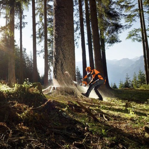 Chainsaw Stihl Ms 651 30 Inchi Gergaji Tangan Potong Pohon Original