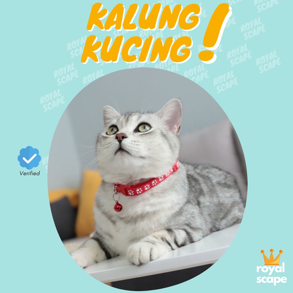 Kalung kucing &amp; anjing premium, termurah