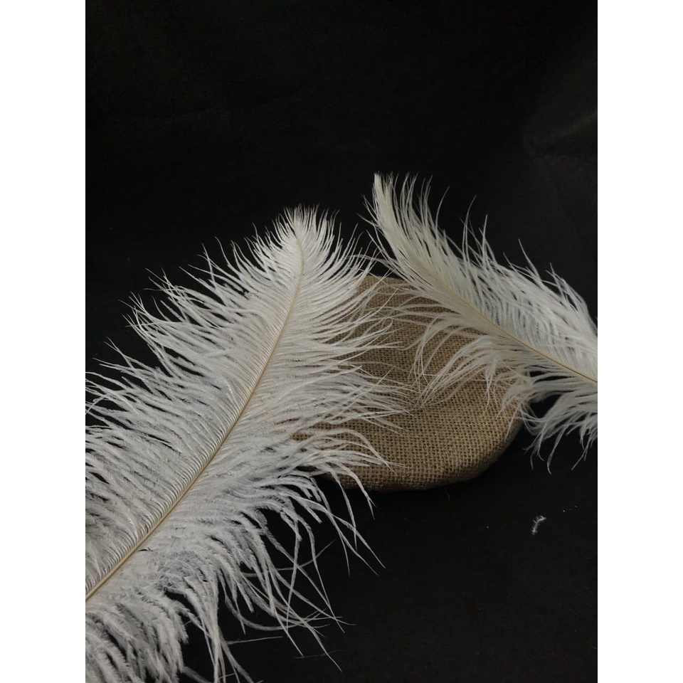 1 HELAI 15 CM - 40 CM BULU OSTRICH | DEKORASI | FASHION | HAIRPIECE