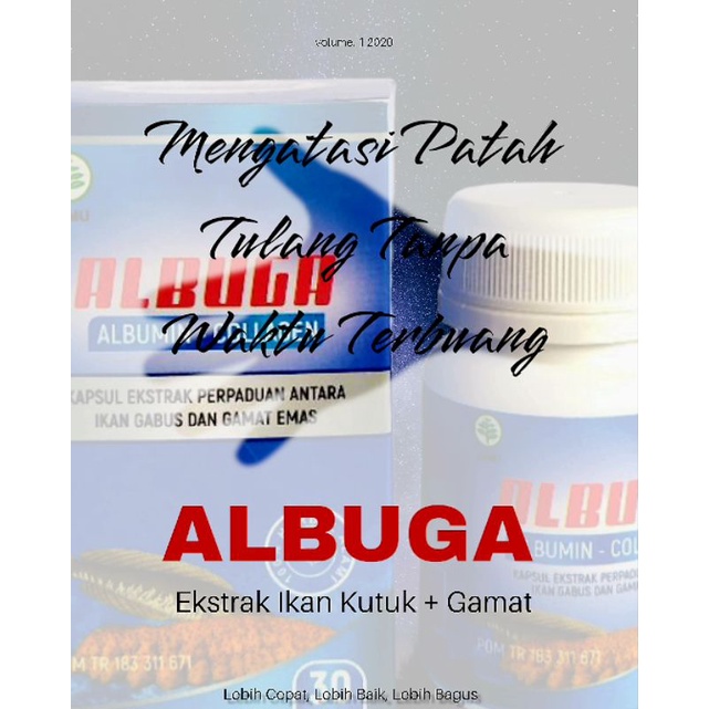 TERLARIS Kapsul Kutuk & Gamat Asli 100% BPOM