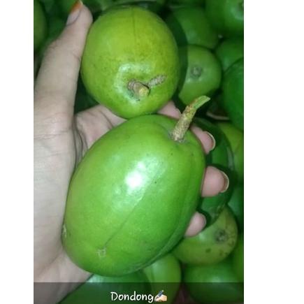 

ベ buah kedondong Bangkok 1 kg げ