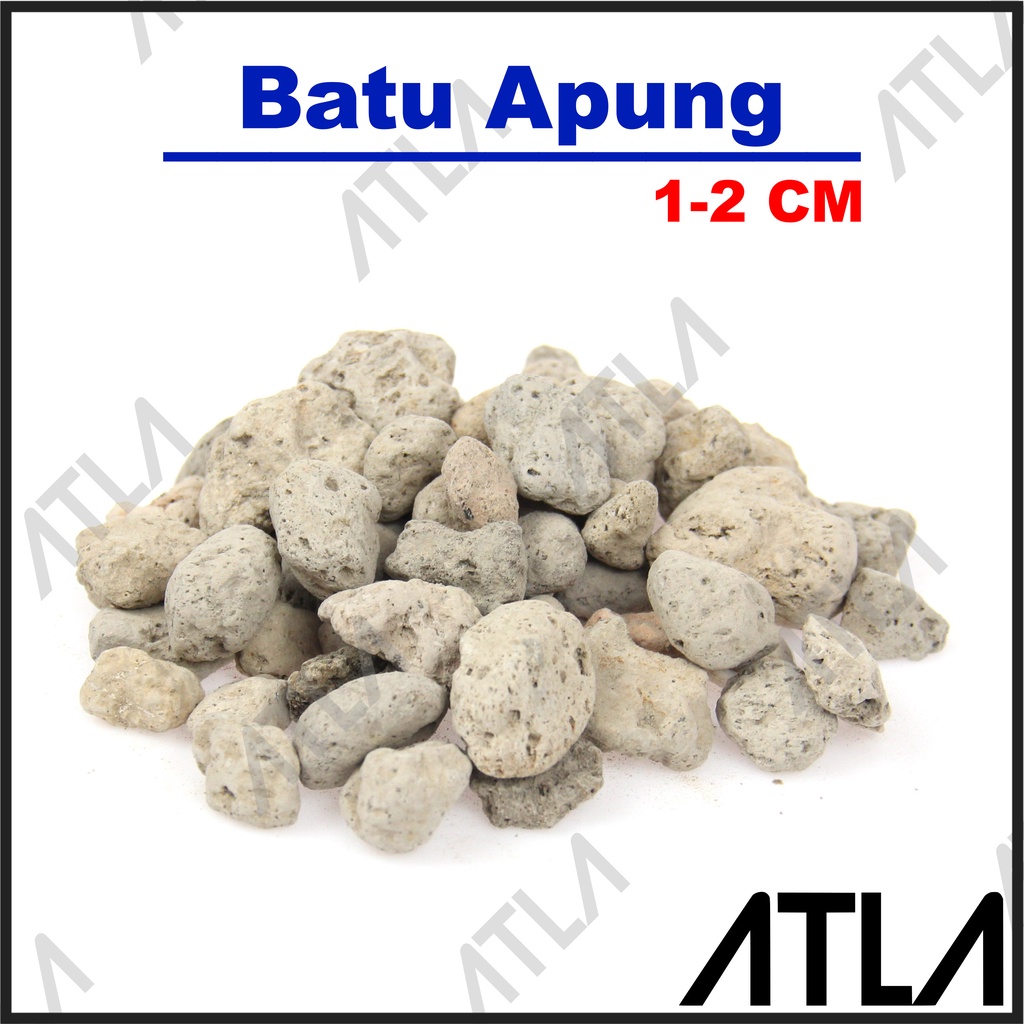 Jual Batu Apung 1 2 Cm Kerikil Media Tanam Pumice Filter Kolam Ikan Mt056 Shopee Indonesia