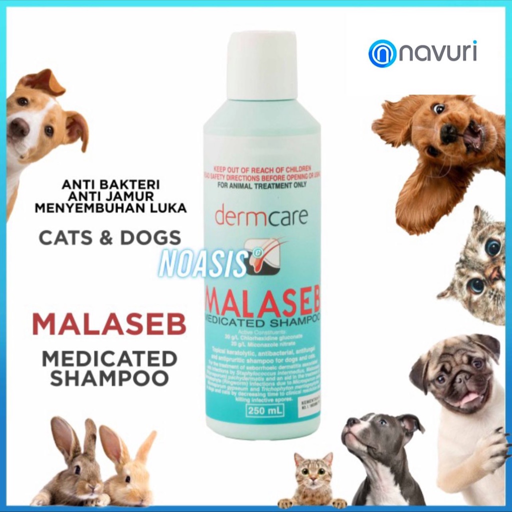 Jual SHAMPOO ANJING DAN KUCING POISON MALASEB MEDICATED DERMCARE 250 ML