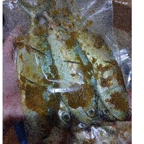 

Ikan Kembung Siap Goreng