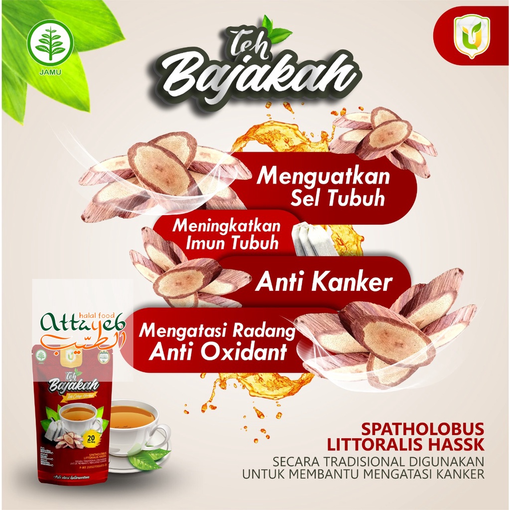 

Teh Celup isi 20 Original Herbal Akar Kayu Bajakah Merah asli 100 % kalimantan Melawan Virus Sel Tumor Kanker Ganas tumor Payudara, Rahim, Kista, Otak