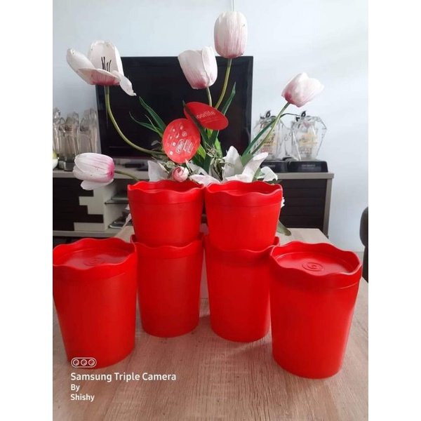 toples kue moorlife/Fiore moorlife