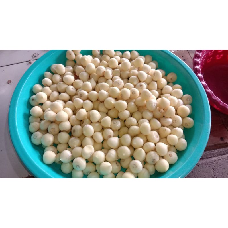 

Bawang lanang kupas 1kg