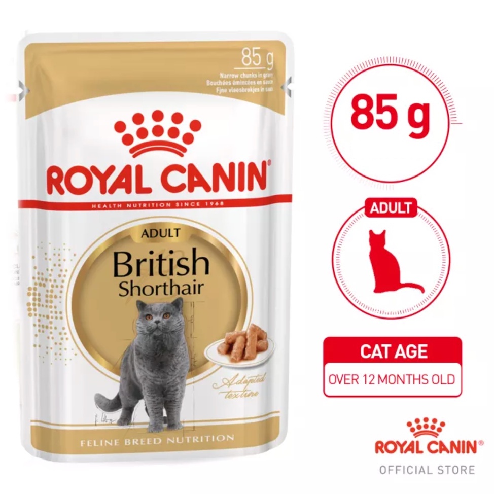 Royal Canin Sachet British Shorthair Adult 85 Gram Makanan Kucing Basah RC untuk Kucing British Shorthair Dewasa Bentuk Kibble Disesuaikan Khusus