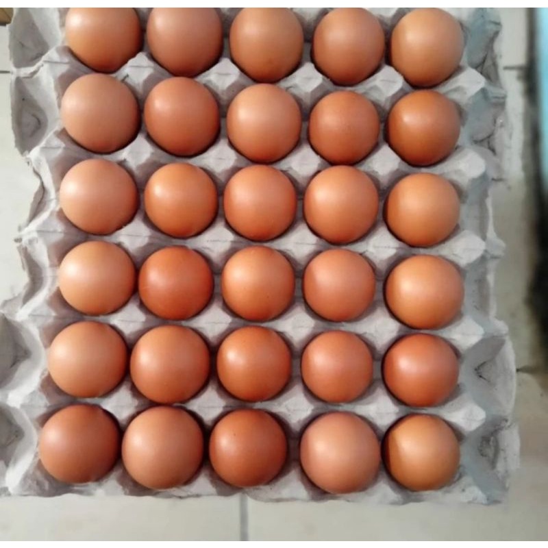 

telur ayam super telur ayam fresh