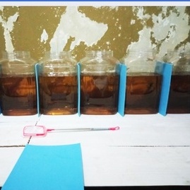Sekat Aquarium Ikan Cupang Soliter Toples Varian Warna